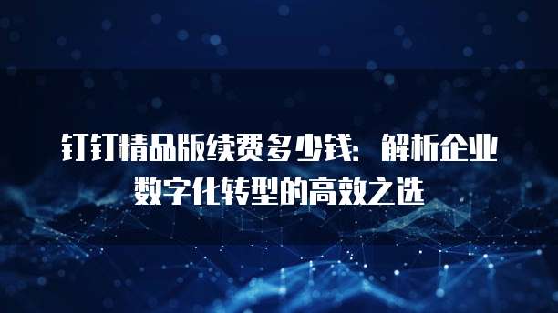 钉钉精品版续费多少钱:解析企业数字化转型的高效之选