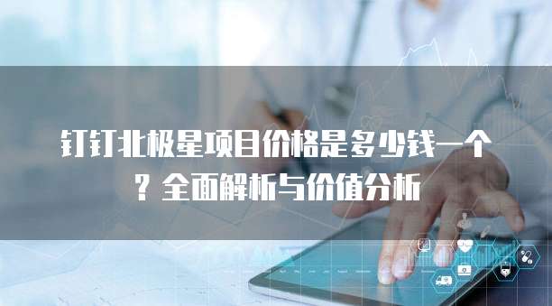 钉钉北极星项目价格是多少钱一个?全面解析与价值分析