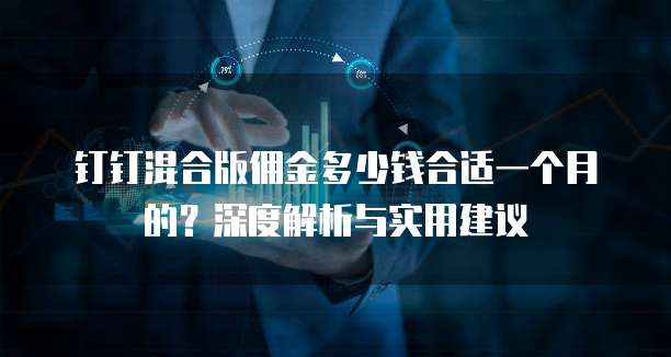钉钉混合版佣金多少钱合适一个月的?深度解析与实用建议