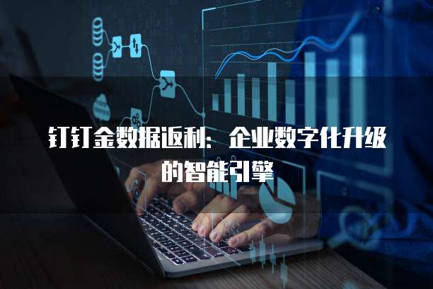 钉钉金数据返利:企业数字化升级的智能引擎