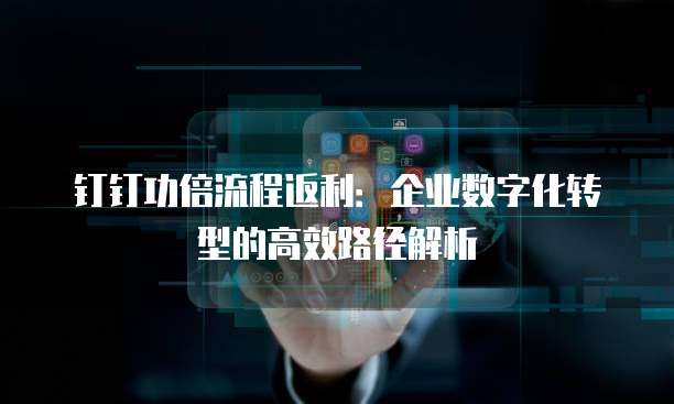 钉钉功倍流程返利:企业数字化转型的高效路径解析