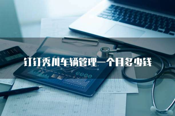 钉钉秀川车辆管理一个月多少钱