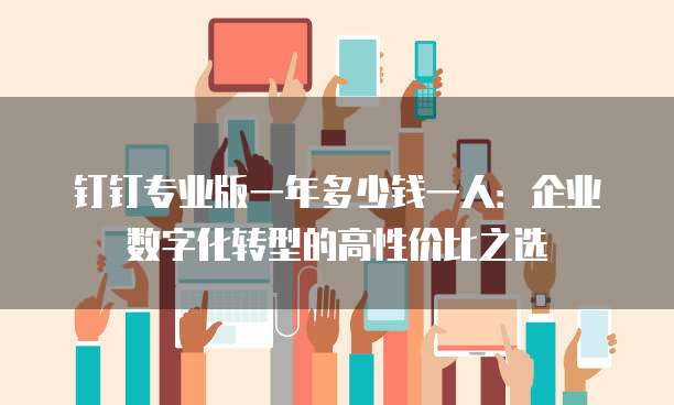 钉钉专业版一年多少钱一人：企业数字化转型的高性价比之选