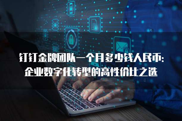 钉钉金牌团队一个月多少钱人民币:企业数字化转型的高性价比之选