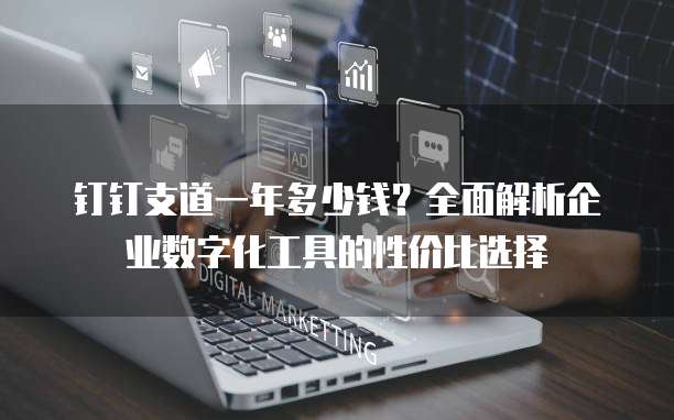 钉钉支道一年多少钱?全面解析企业数字化工具的性价比选择