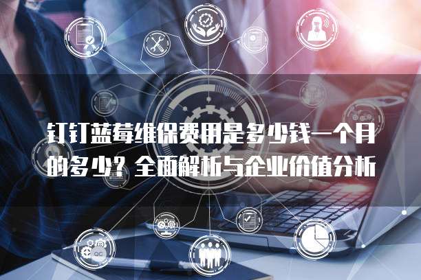 钉钉蓝莓维保费用是多少钱一个月的多少?全面解析与企业价值分析