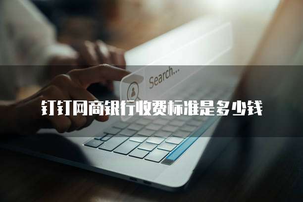 钉钉网商银行收费标准是多少钱