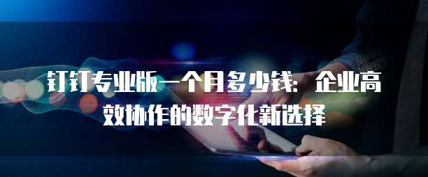 钉钉专业版一个月多少钱:企业高效协作的数字化新选择