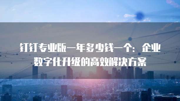 钉钉专业版一年多少钱一个:企业数字化升级的高效解决方案