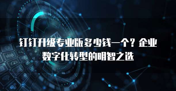 钉钉升级专业版多少钱一个?企业数字化转型的明智之选