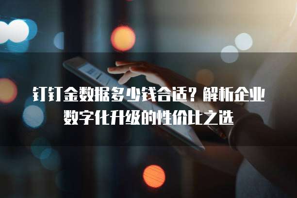 钉钉金数据多少钱合适?解析企业数字化升级的性价比之选