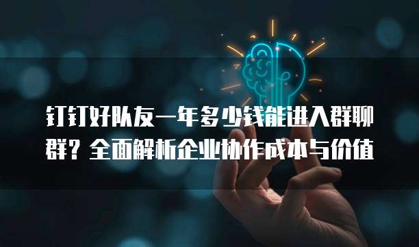 钉钉好队友一年多少钱能进入群聊群？全面解析企业协作成本与价值