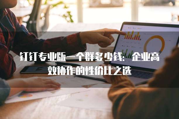 钉钉专业版一个群多少钱:企业高效协作的性价比之选