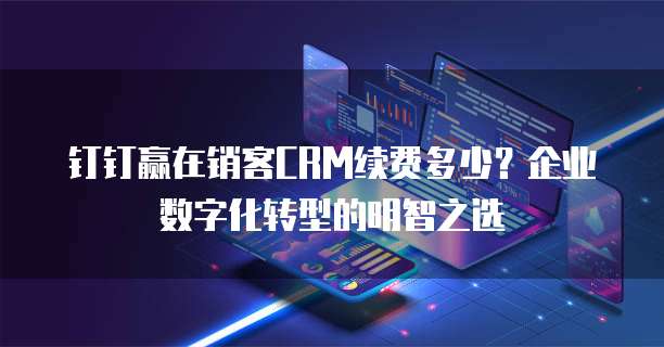 钉钉赢在销客CRM续费多少?企业数字化转型的明智之选