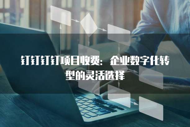 钉钉钉钉项目收费:企业数字化转型的灵活选择