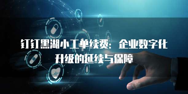 钉钉黑湖小工单续费:企业数字化升级的延续与保障