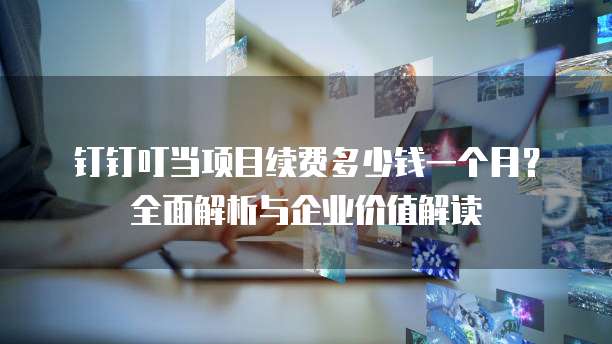 钉钉叮当项目续费多少钱一个月?全面解析与企业价值解读