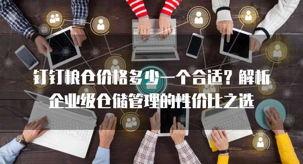 钉钉粮仓价格多少一个合适?解析企业级仓储管理的性价比之选