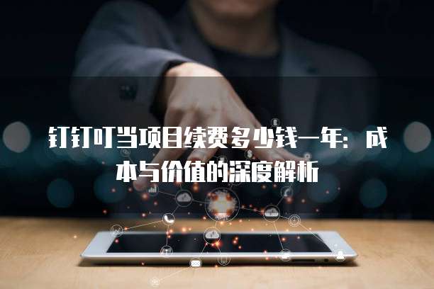 钉钉叮当项目续费多少钱一年:成本与价值的深度解析