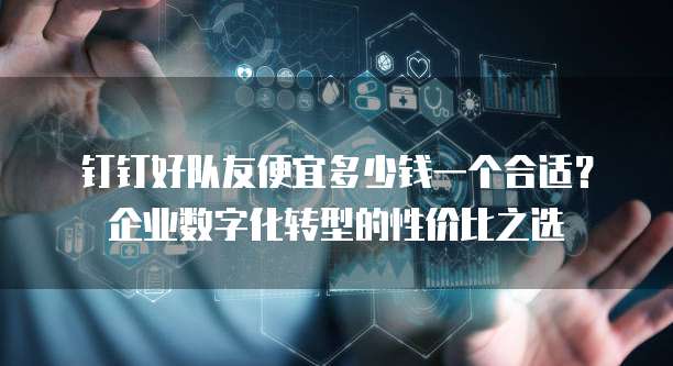 钉钉好队友便宜多少钱一个合适?企业数字化转型的性价比之选