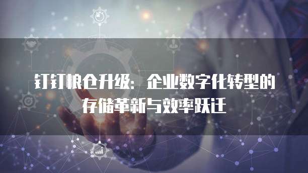 钉钉粮仓升级:企业数字化转型的存储革新与效率跃迁