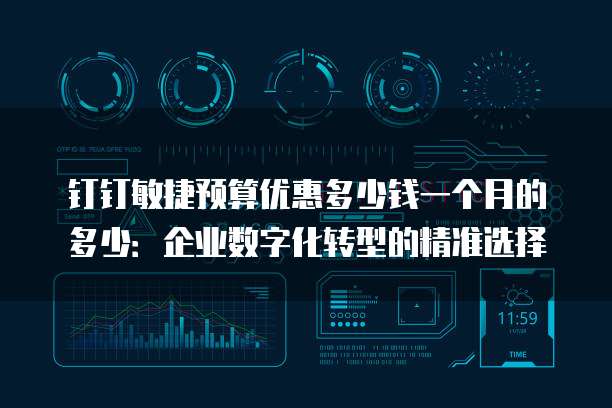 钉钉敏捷预算优惠多少钱一个月的多少:企业数字化转型的精准选择