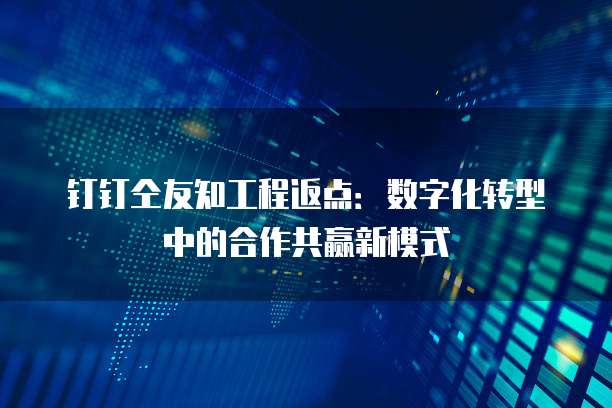 钉钉仝友知工程返点：数字化转型中的合作共赢新模式