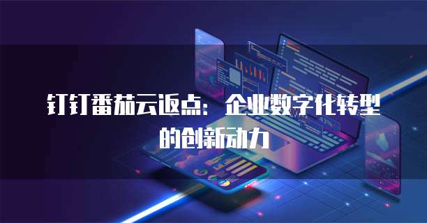 钉钉番茄云返点：企业数字化转型的创新动力