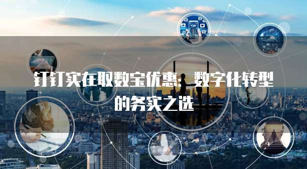 钉钉实在取数宝优惠：数字化转型的务实之选