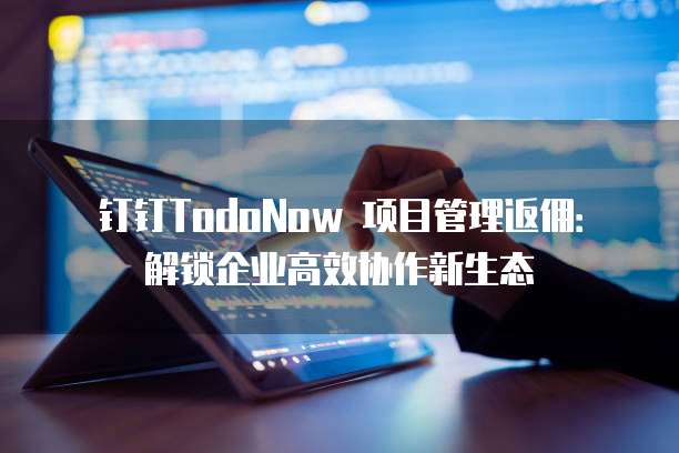 钉钉TodoNow 项目管理返佣:解锁企业高效协作新生态