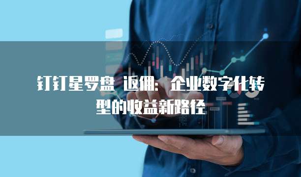 钉钉星罗盘 返佣:企业数字化转型的收益新路径