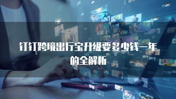 钉钉跨境出行宝升级要多少钱一年的全解析