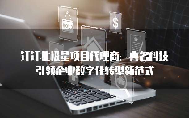 钉钉北极星项目代理商:典名科技引领企业数字化转型新范式