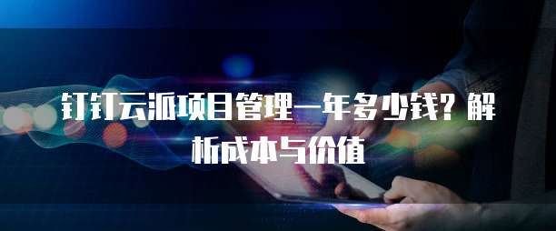 钉钉云派项目管理一年多少钱？解析成本与价值