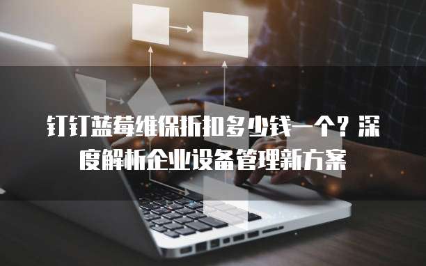 钉钉蓝莓维保折扣多少钱一个?深度解析企业设备管理新方案