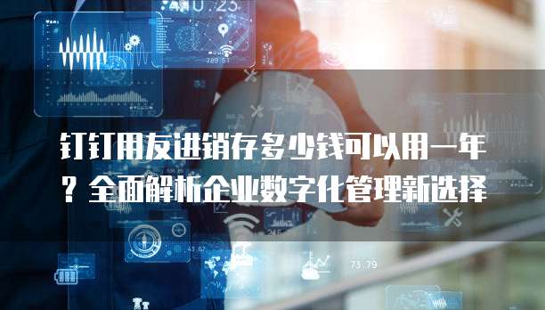 钉钉用友进销存多少钱可以用一年?全面解析企业数字化管理新选择