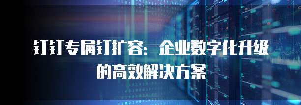 钉钉专属钉扩容:企业数字化升级的高效解决方案