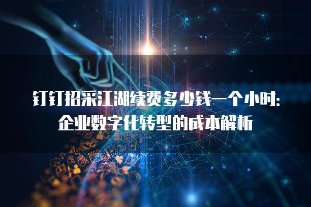 钉钉招采江湖续费多少钱一个小时:企业数字化转型的成本解析