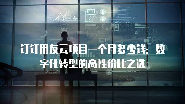 钉钉用友云项目一个月多少钱:数字化转型的高性价比之选
