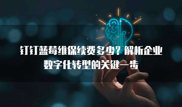 钉钉蓝莓维保续费多少?解析企业数字化转型的关键一步