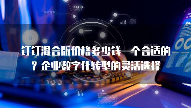 钉钉混合版价格多少钱一个合适的？企业数字化转型的灵活选择
