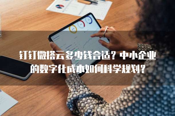 钉钉微搭云多少钱合适?中小企业的数字化成本如何科学规划?