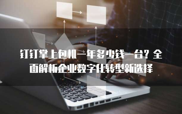 钉钉掌上包机一年多少钱一台?全面解析企业数字化转型新选择