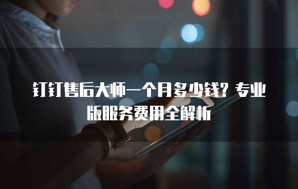 钉钉售后大师一个月多少钱?专业版服务费用全解析