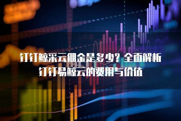 钉钉鲸采云佣金是多少?全面解析钉钉易鲸云的费用与价值