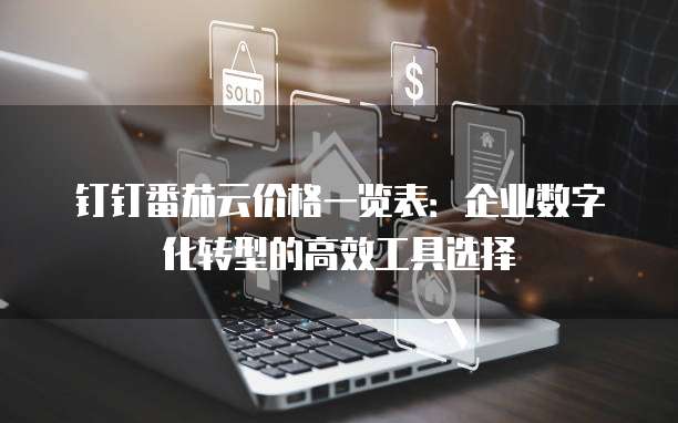 钉钉番茄云价格一览表:企业数字化转型的高效工具选择
