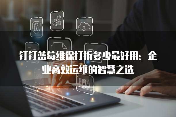 钉钉蓝莓维保打折多少最好用:企业高效运维的智慧之选