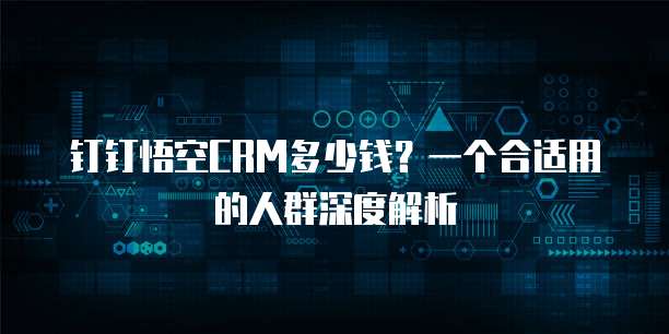 钉钉悟空CRM多少钱?一个合适用的人群深度解析