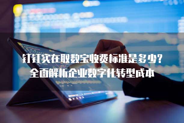 钉钉实在取数宝收费标准是多少?全面解析企业数字化转型成本