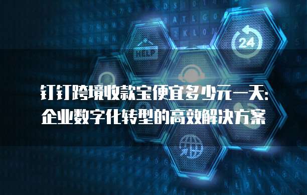 钉钉跨境收款宝便宜多少元一天:企业数字化转型的高效解决方案